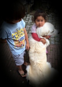 hond en kinderen